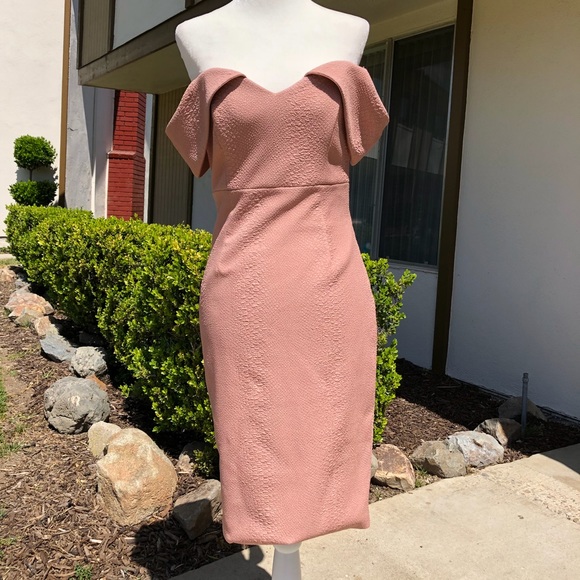 Bardot Dresses & Skirts - Bardot soft pink dress